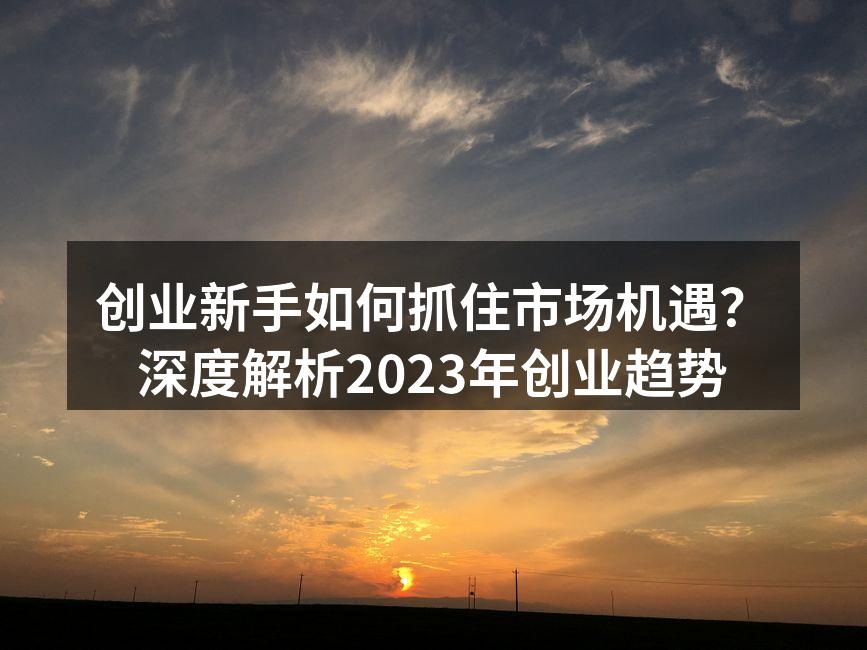 创业新手如何抓住市场机遇？深度解析2023年创业趋势