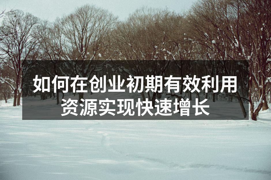 如何在创业初期有效利用资源实现快速增长