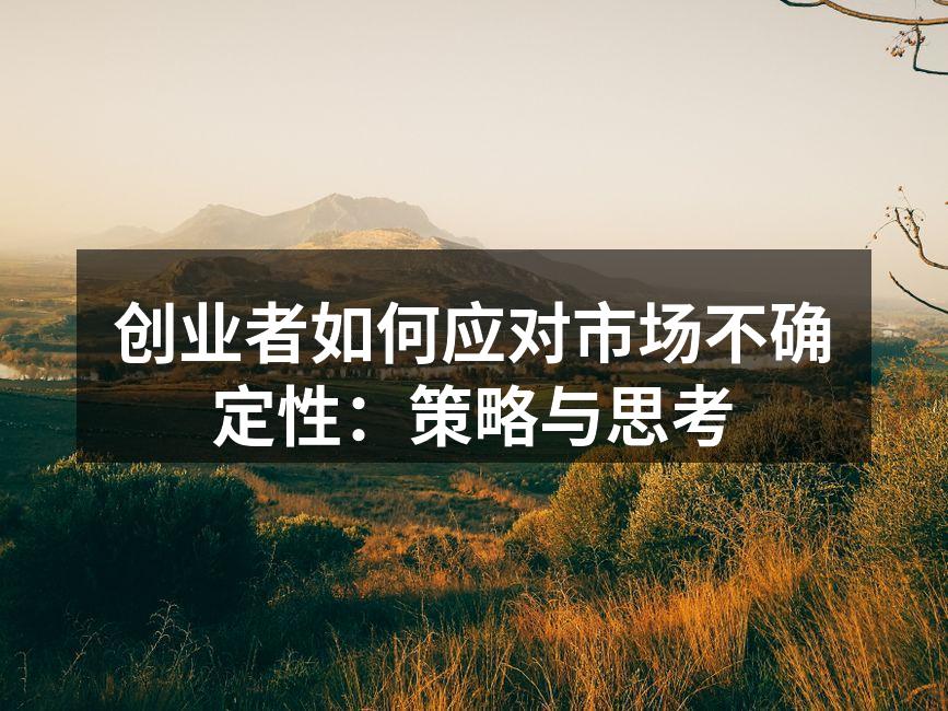 创业者如何应对市场不确定性：策略与思考