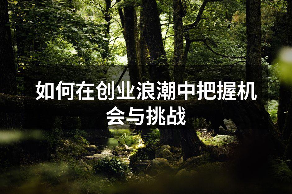 如何在创业浪潮中把握机会与挑战